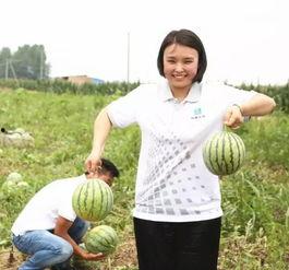 团播娱乐吃瓜,揭秘娱乐圈吃瓜背后的真相